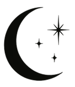 Moon Logo